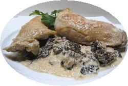 Photo poulet creme